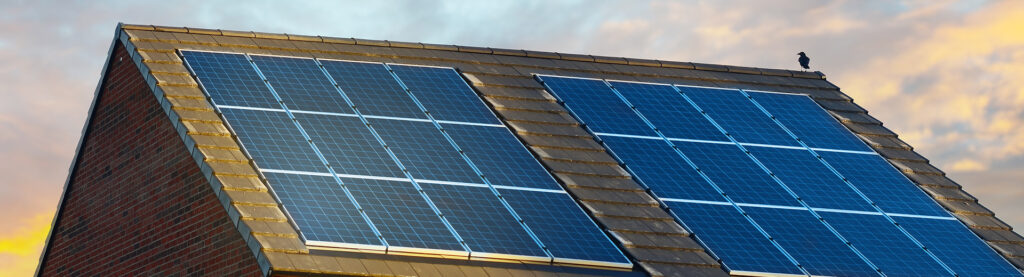 Servicios de Celda Ingeniería - ingenieria-legal-1-celda-ingenieria